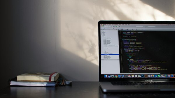 Quels sont les critères pour sélectionner un bon moniteur pour le développement logiciel?